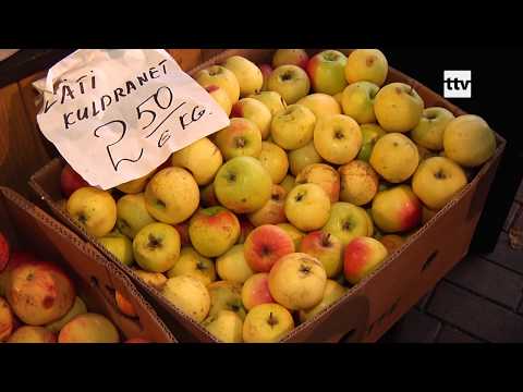 Video: Miks õunad Oksadel Mädanevad? Monilioos - Nähud, Ennetamine Ja Ravi. Foto
