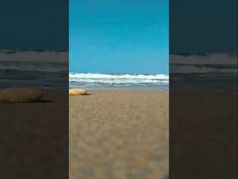 معا يا أخوة الدربي مشهد بحر مشهد رمال