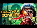 INSANE COLD WAR ZOMBIES GAMEPLAY EASTER EGGS DISCOVERIES!! (MASSIVE BREAKDOWN)