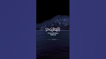 سورة الأحزاب بصوت هزاع البلوشي