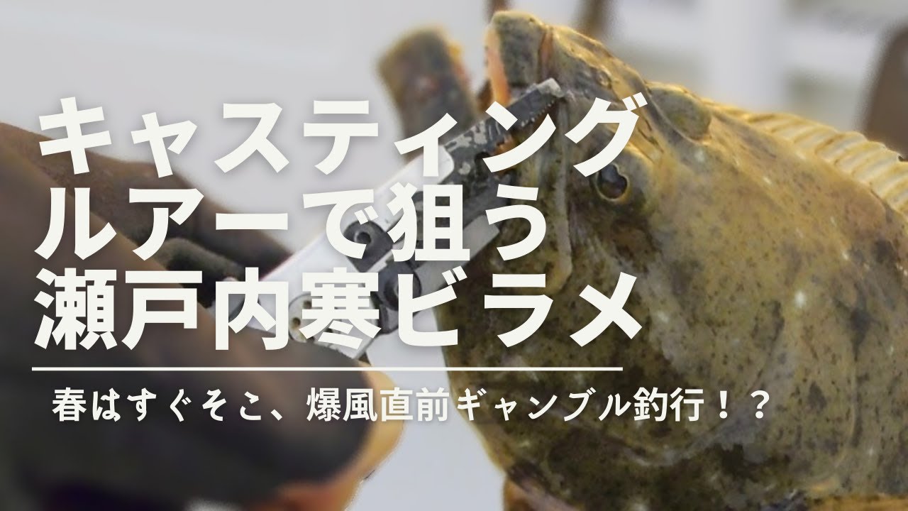 瀬戸内ヒラメ ボートからのルアーキャスティングで狙う寒ビラメ Youtube