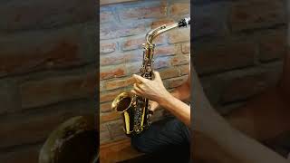 Earlham Alto Saxophone test