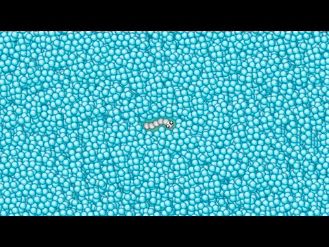 Snake.io Lovely Snake Pro Skill Epic Snake io Best/Funny Gameplay!