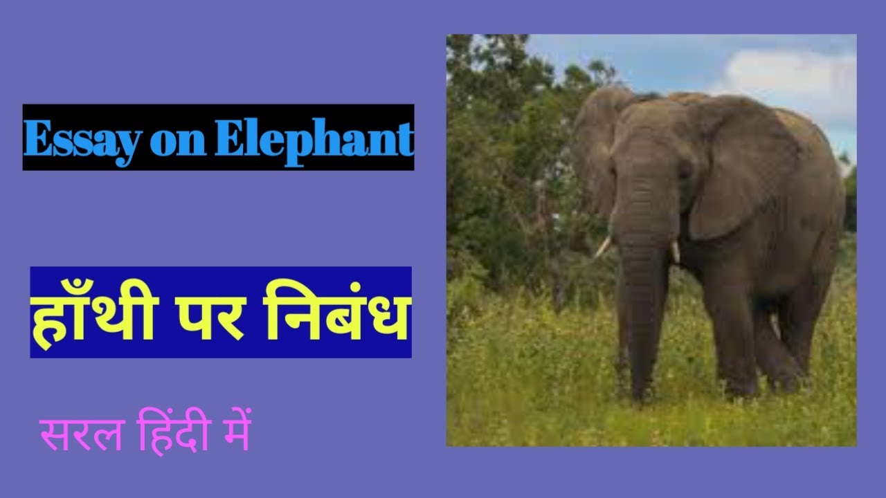 essay on elephant in hindi