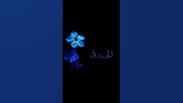 سورة الكهف بصوت الشيخ ياسر الدوسري ♥🌹