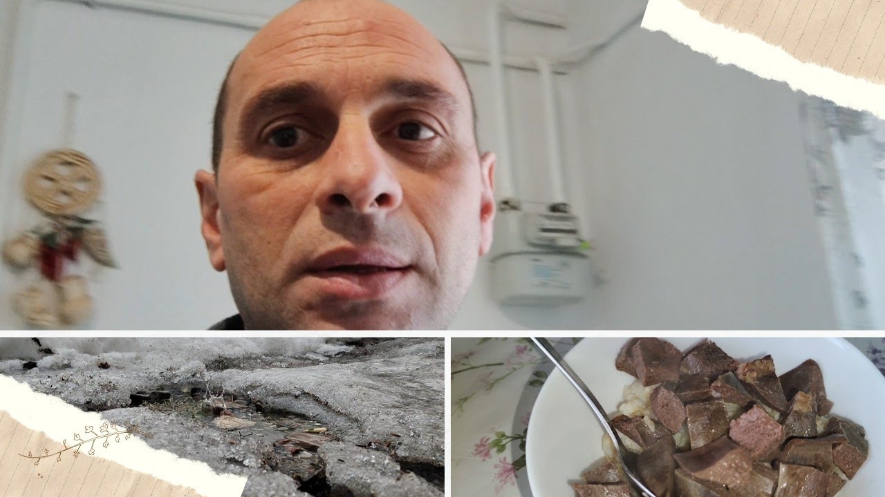 Чем кормим кошек? Дождливое утро. С праздником друзья!Стрим.