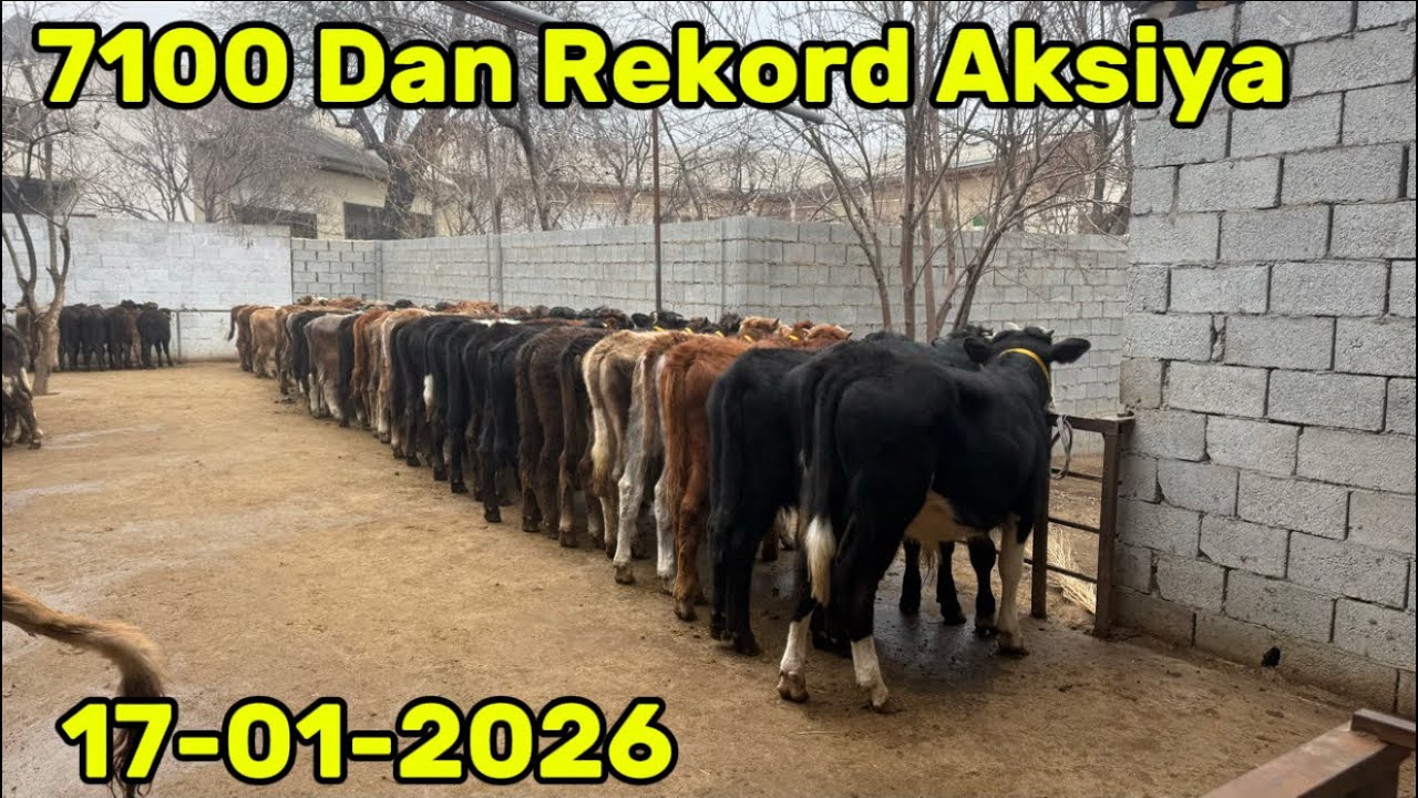 💥7100 DAN VA 9300 DAN 🥇SARDOR AKADAN SUPPER AKSIYA 😱 