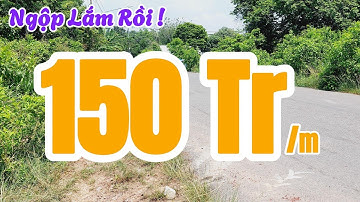 Đất Dầu Tiếng | Ngộp lắm rồi em 15 x 42  Giá rẽ #644