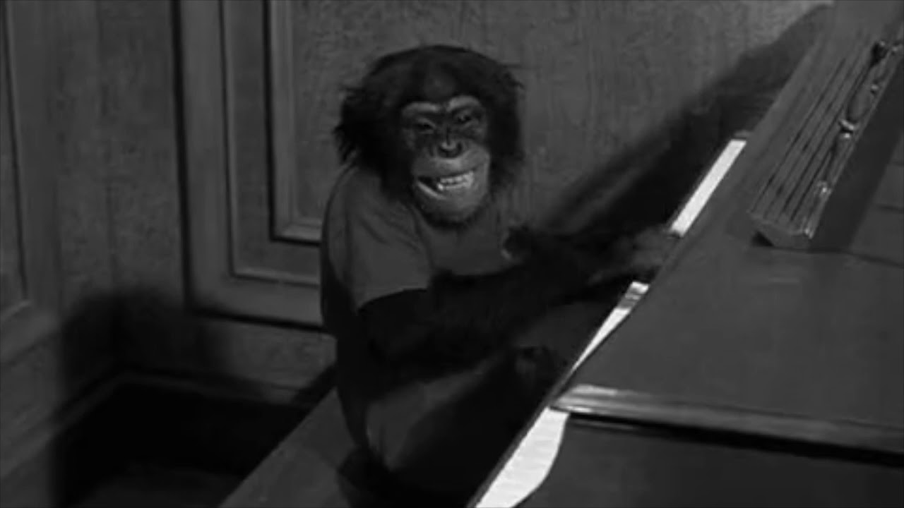 гифки обезьянки. смешные обезьяны. гифка мартышка. гифка мартышка. обезьяна мультяшная.