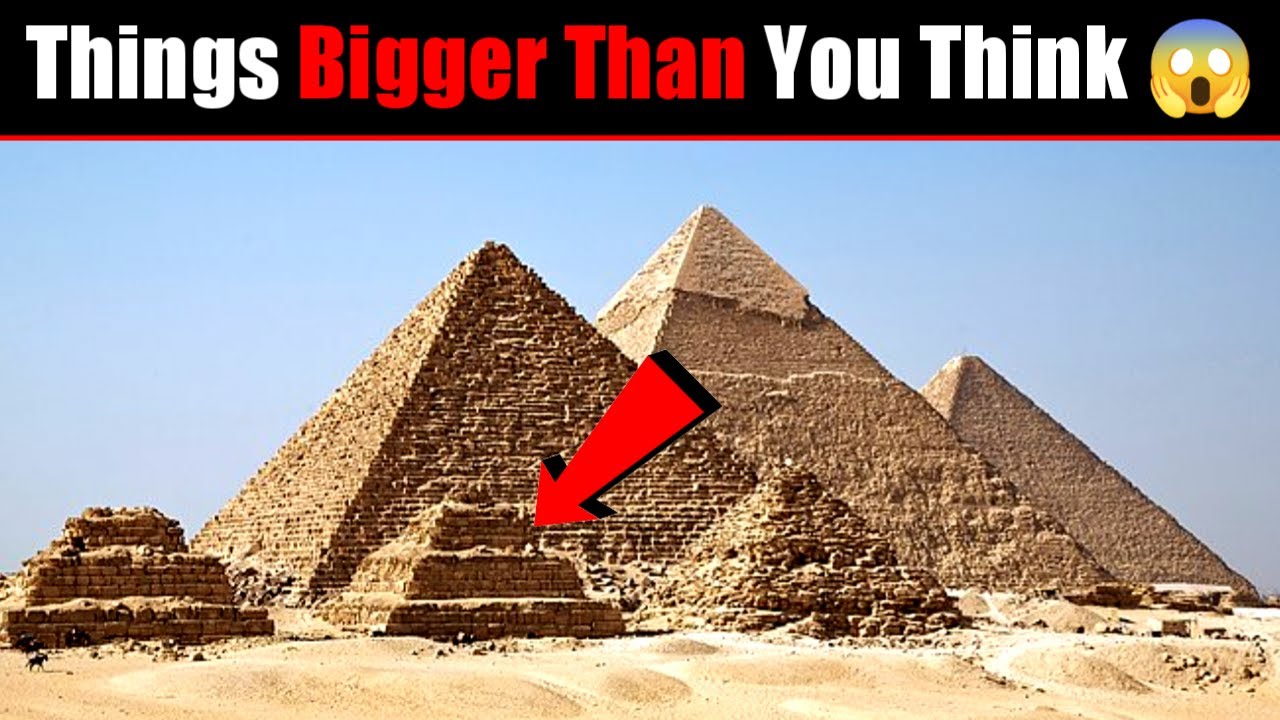 Things Bigger Than You Think😱😱(Part2)shorts YouTube