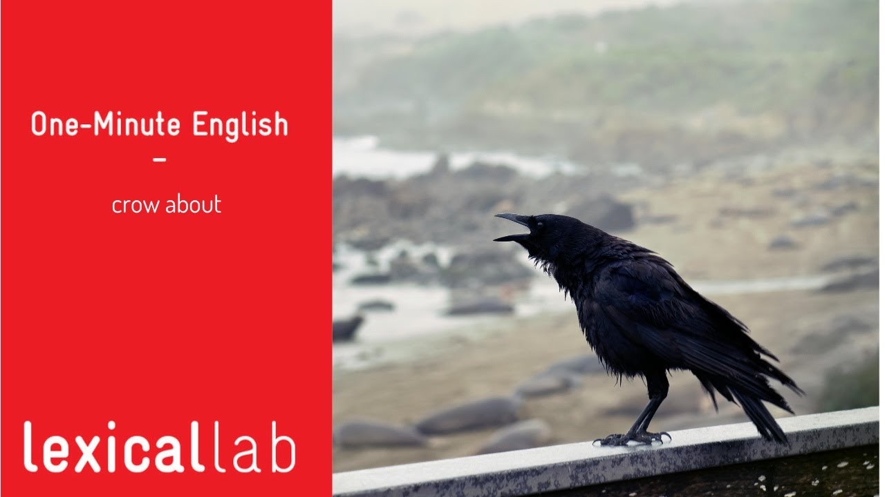 Learning Crow ONE-MINUTE ENGLISH: crow about LEARN WITH LEXICAL LAB - YouTube