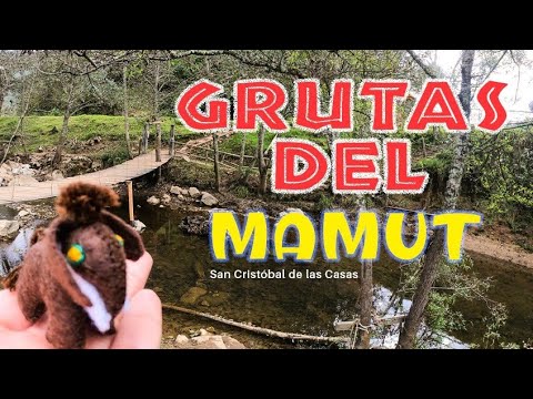 Video: Parque Nacional Cueva del Mamut: la guía completa