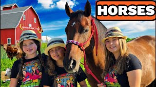 Taking Our Horse To The Vet Horse Videos For Kids