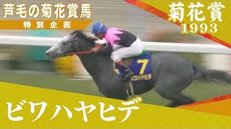 ビワハヤヒデ Youtube