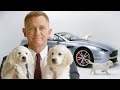 Daniel Craig and Puppies Present: Your New Aston Martin // Omaze