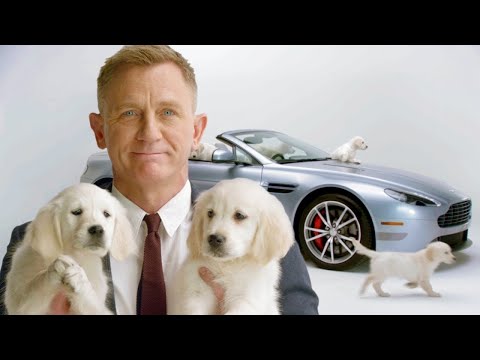 Daniel Craig and Puppies Present: Your New Aston Martin // Omaze
