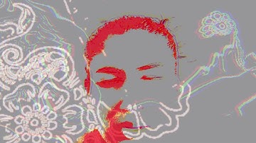 Hate the Sin, Love the Sinner (video) - Nina Shekhar