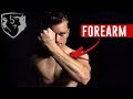 Forearm Strengthening Exercises for Fighters (Wrist, Fist, & Grip)