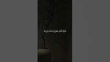 ياسر الدوسري سورة الفرقان _ اكتب شيء تؤجر عليه