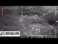 Ridgeline trail camera footage  new zealand