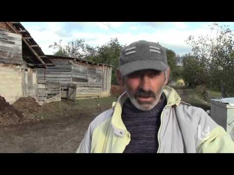 ახალციხის სამ სოფელში საქონელი იხოცება