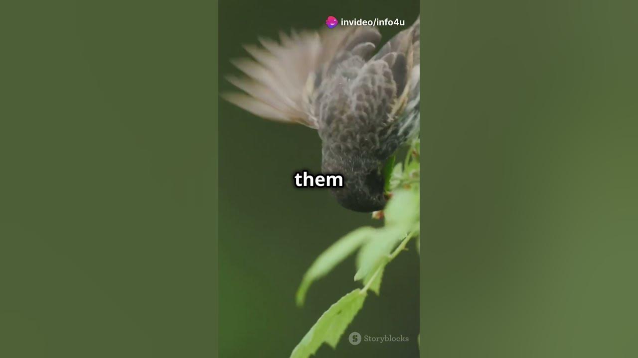 Darwin's Evolution Theory ! #biology #evolution #darwin #theory #facts #humans #foryou #trending Darwin's Evolution Theory ! #biology #evolution #darwin #theory #facts #humans #foryou #trending