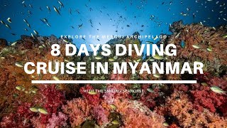 Explore the Mergui Archipelago : 8 days diving cruise