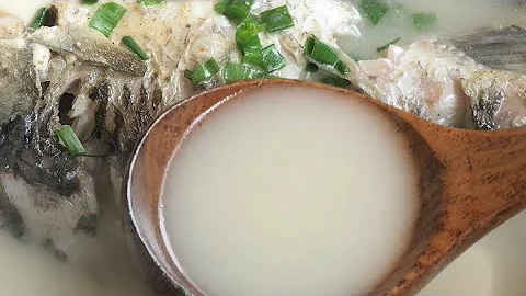 怎樣做鯽魚湯又白又香又營養？ - 天天要聞