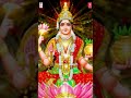 #DhanalakshmiDevi #kannadabhakthisongs #devisongs #shortsvideo #reels #bhakthisongs #kannadasongs