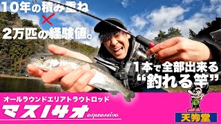 釣竿　ロッド　渓流　釣り具　硬調　まとめ売り　釣天狗　硬調子10尺、12尺 釣竿 ロッド 渓流 釣り具 硬調 まとめ売り 釣天狗 硬調子10尺、12尺の