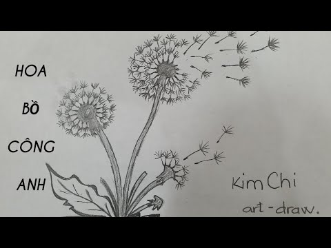 Cách Vẽ Bồ Công Anh đơn giản bằng bút chì #12 - How to Draw a ...