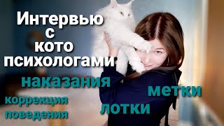 Интервью с котопсихологами. Всё, что вам нужно знать о психологии кошек by Maine Coon's live 2,560 views 2 months ago 43 minutes