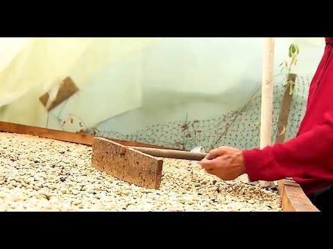 Video: ¿Cuáles son los beneficios de la artesanía?