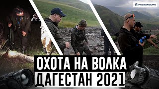 Охота на ВОЛКОВ в Дагестане, выстрел по волку на 400 метров! Волк взят. Часть вторая.