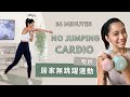 36分鐘居家無跳躍運動，啞鈴燃脂訓練，徒手做也可以！｜36 Min Fat Burning Workout with Dumbbells (No Jumping Cardio)