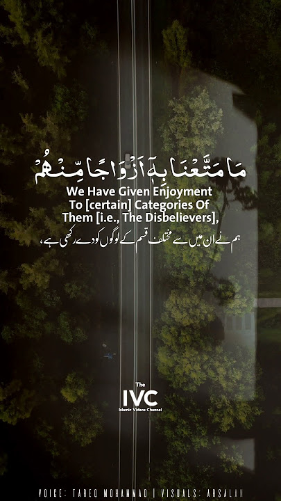 Surah Al Hijr 88 Quran Recitation by Tareq Mohammad #shorts #theivc #islam #quran #suraalhijr