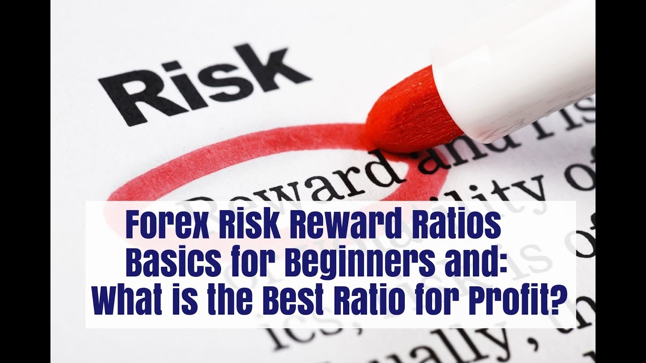 Forex Risk to Reward Ratio Basics - YouTube