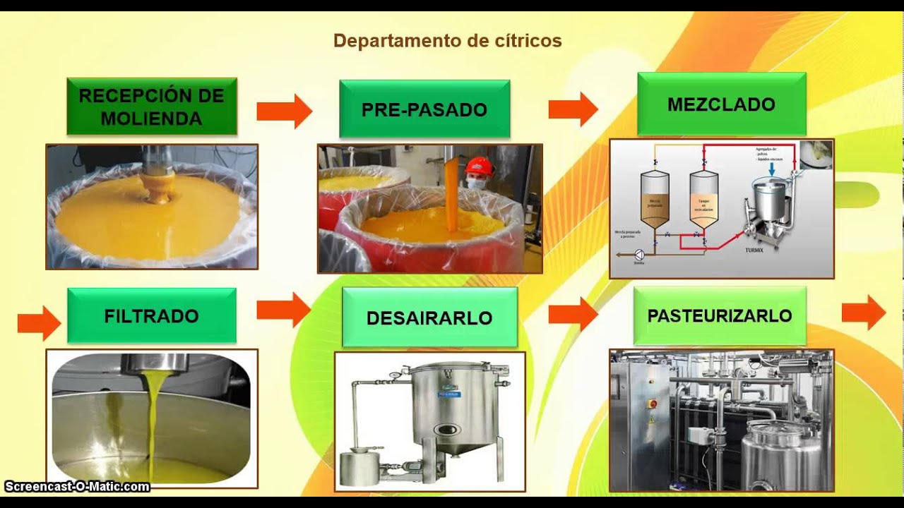 Produccin De Hortalizas En Sistema Hidropnico Nft