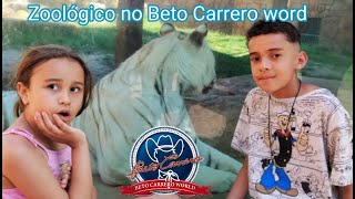 Zoológico no Beto Carrero word _#zoológico_#betocarrero
