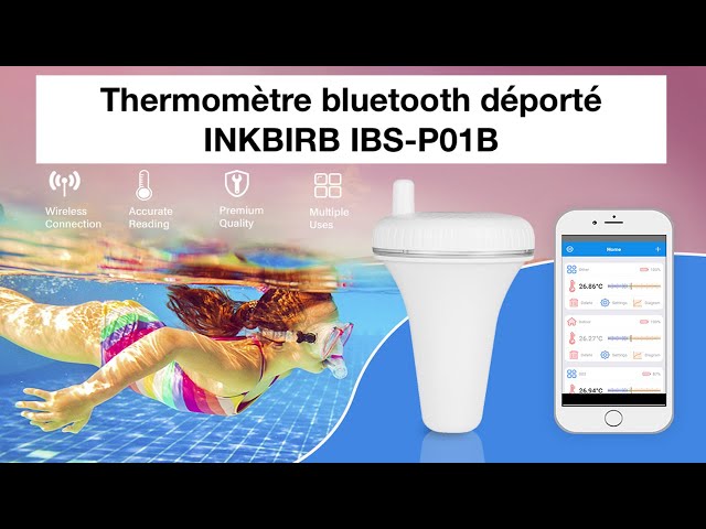 Inkbird IBS-P01R Thermomètre de piscine sans fil flottant numérique :  : Industrie et science