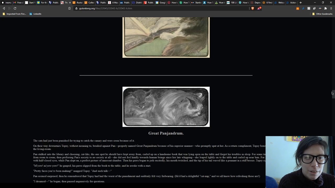 Poems from The Book of the Cat - SCAT - YouTube