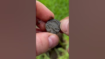 Small Roman Coin found Metal Detecting with Minelab Manticore