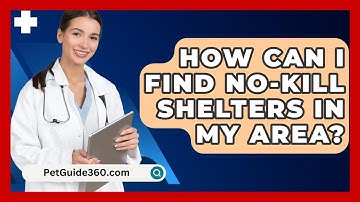 How Can I Find No-Kill Shelters in My Area? - PetGuide360.com