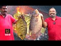 വമ്പൻ മീനിനെ ചുട്ടത് | Giant Gourami Grilled in the Jungle | Grilled Whole Fish by the Stream