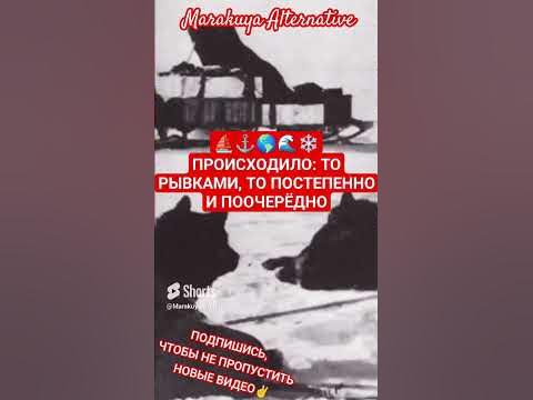 ЮЖНЫЙ ПОЛЯРНЫЙ КРУГ! #истории #russia #historical #историяроссии # ...