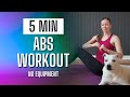 5 Min Ab Workout at Home | No Equipment