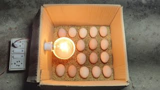 Incubator for chicken eggs || How to hatch a chicken egg at home