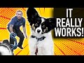How To Teach Your Puppy Their Name - Quick And Easy Puppy Training Guide! How To Teach Your Puppy Their Name - Quick And Easy Puppy Training Guide!