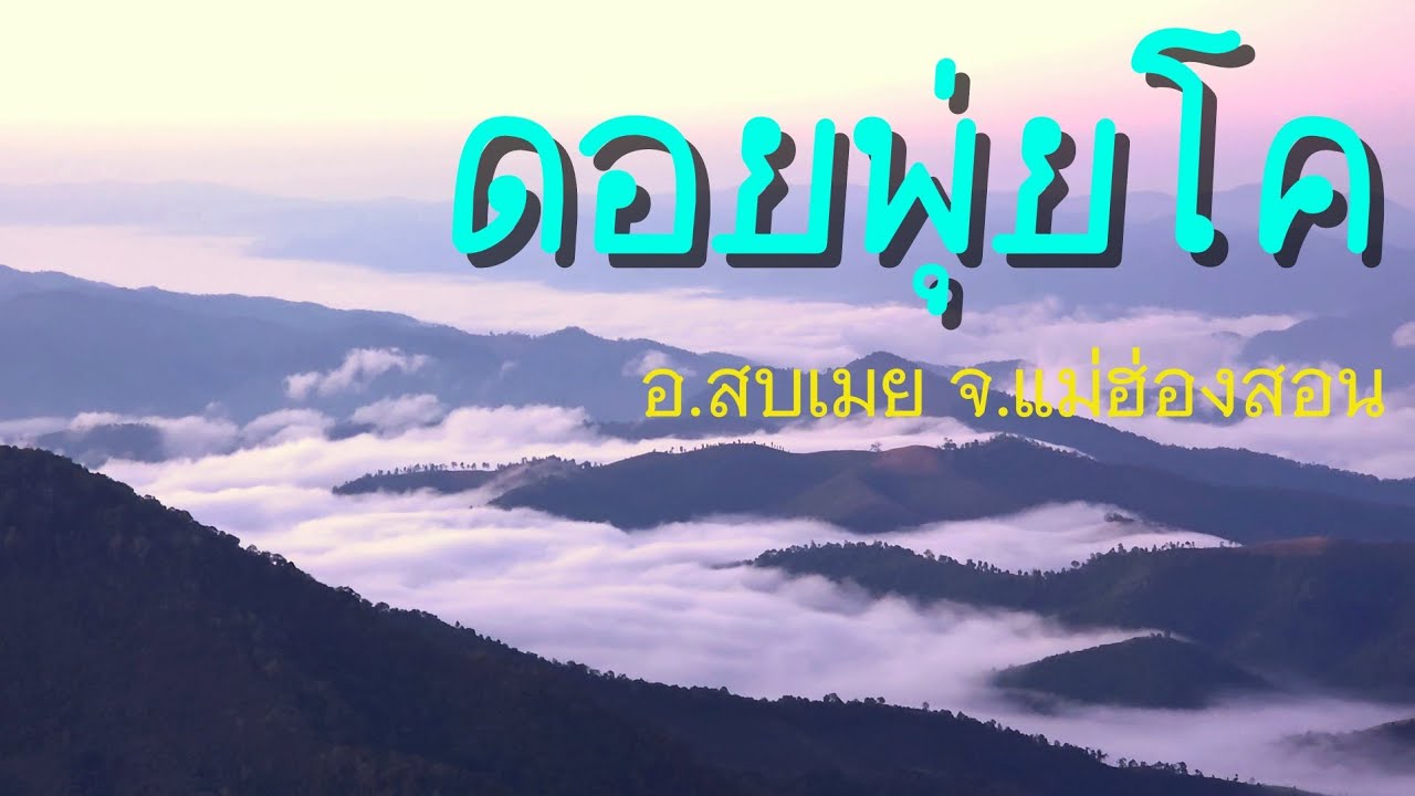 ดอยพุ่ยโค เส้นทางขึ้นดอยพุ่ยโค กางเต็นท์นอนบนดอยพุ่ยโค รอดูทะเลหมอก @เรื่อยเปื่อย
