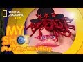 Upside Down Photography Techniques